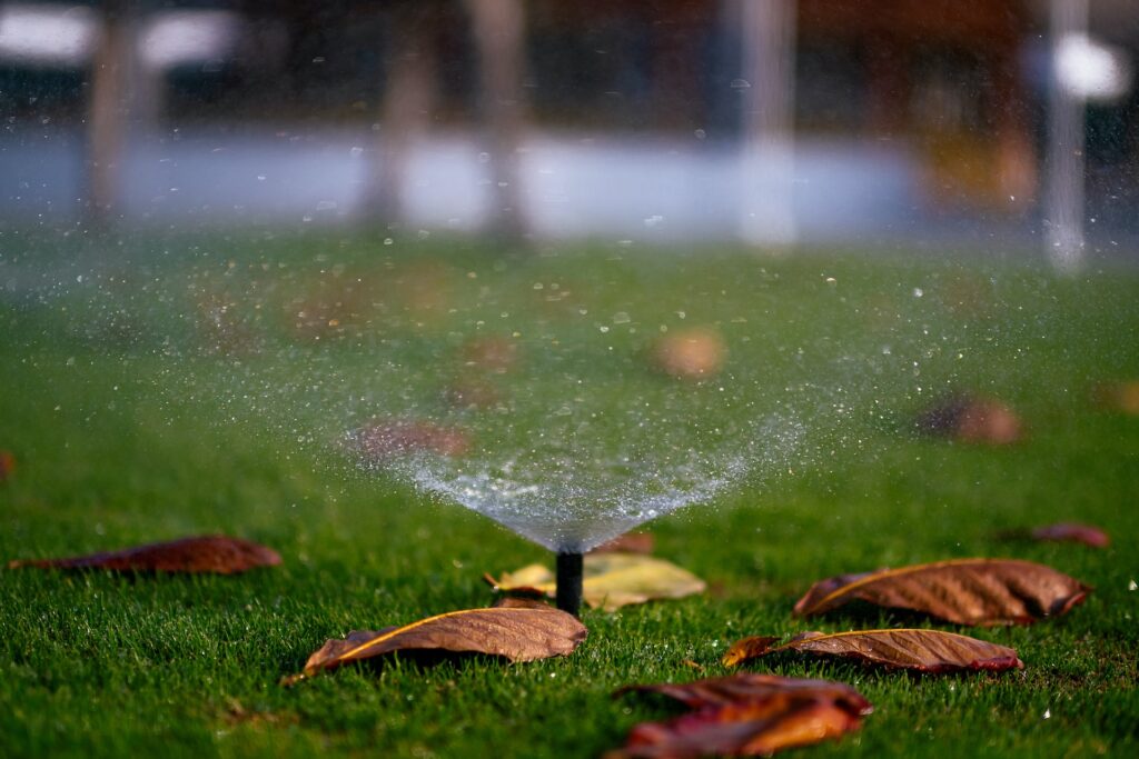 Water sprinkler on grass.