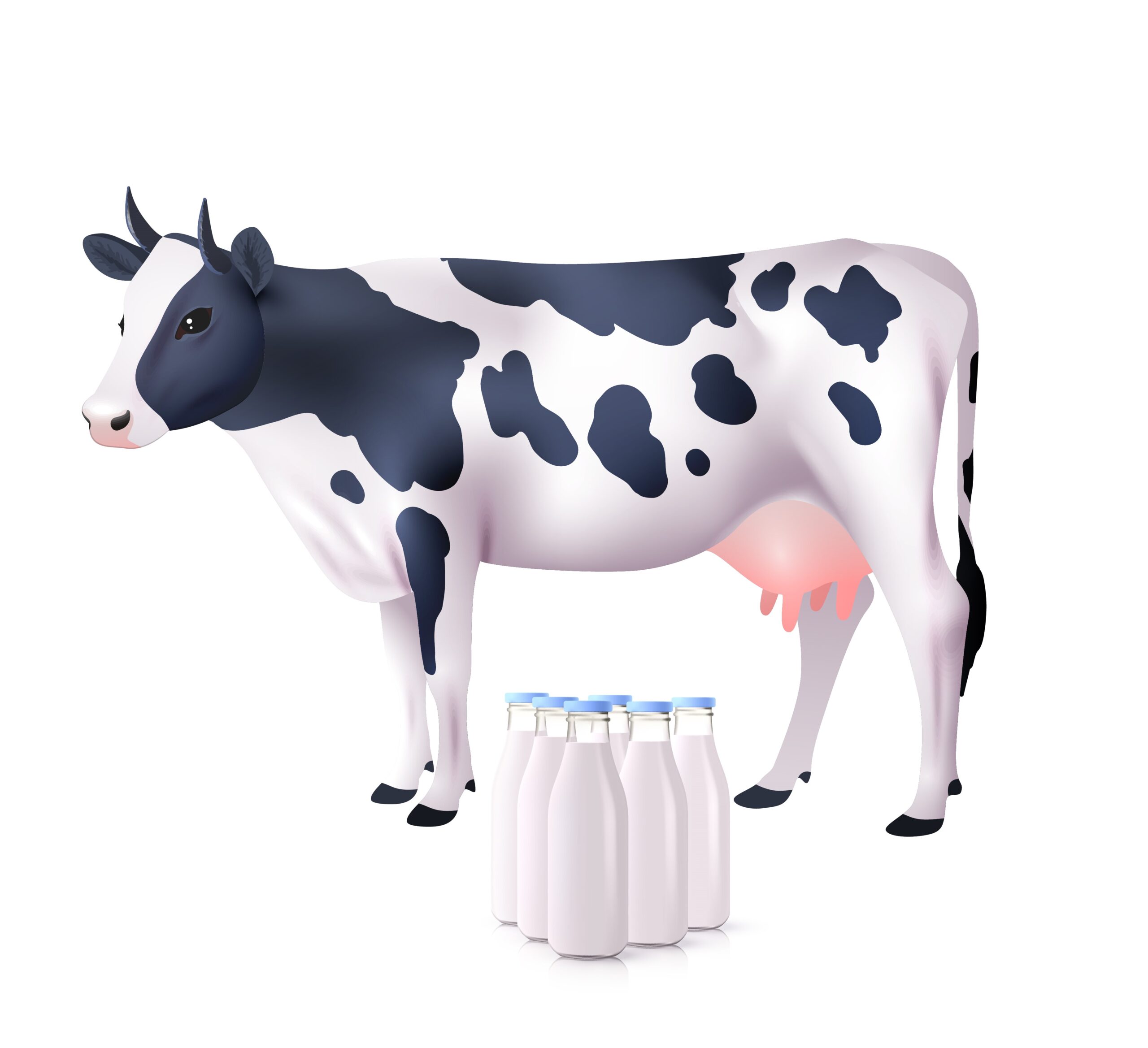 Practice Problem: Why Buy the Cow?